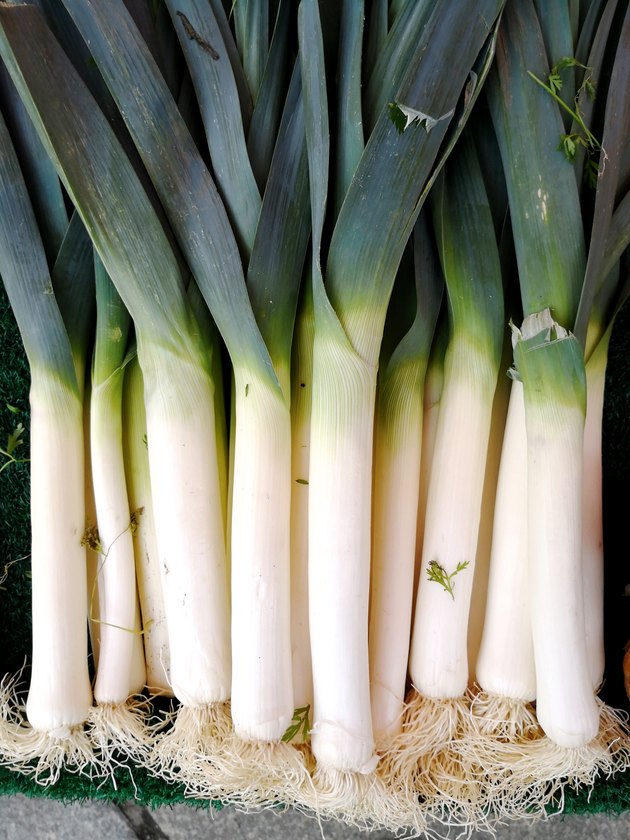 How to Grow Leeks | Hunker