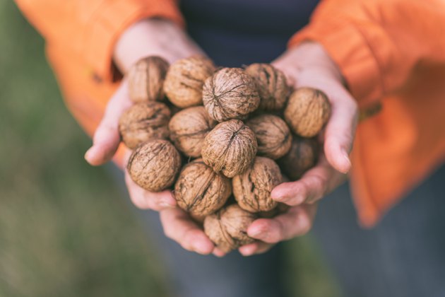 Active Senior woman with handful of walnuts