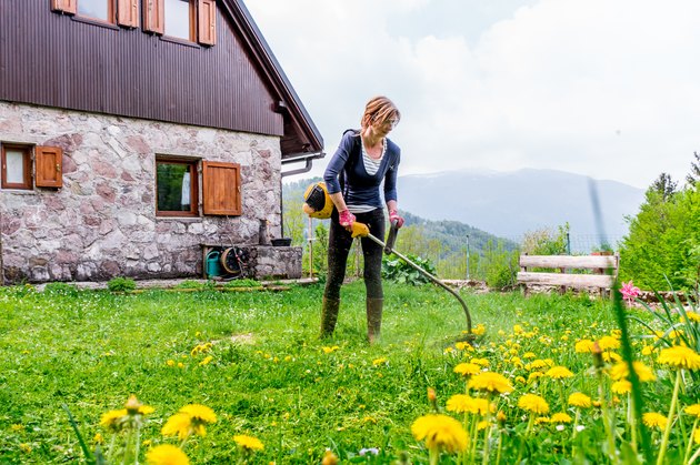 Woman Mowing The Lawn On Back Yard Of The House