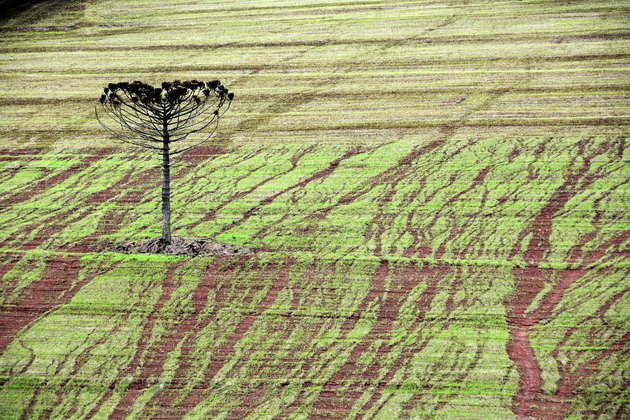 erosion caused by rain