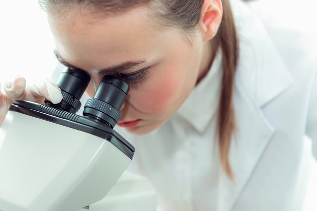 Portrait of young scientist research using microscope in a laboratory, Biotechnology, Science, Chemistry