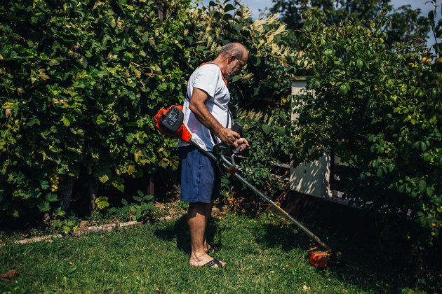 Home gardening