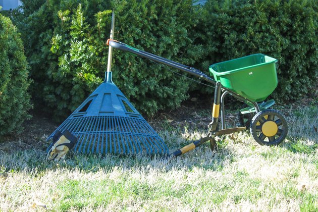 Yard work