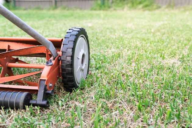 hand mower used to cut lawn