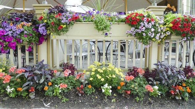 A porch with colorful flowers