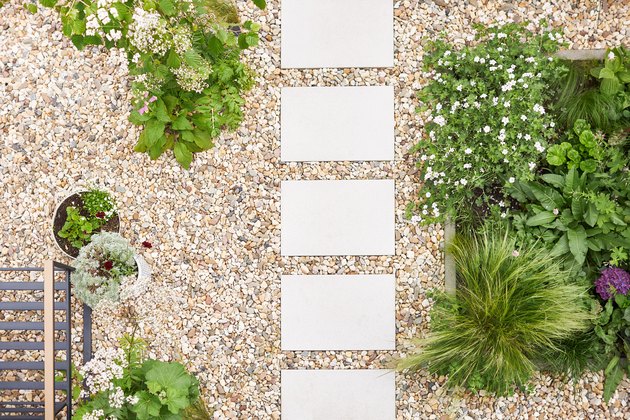 Various photos of a city garden in summer with various grass plants, flowers and trees planted in the gravel