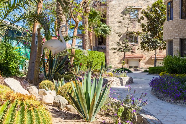 Pictures of a path through the cactus garden