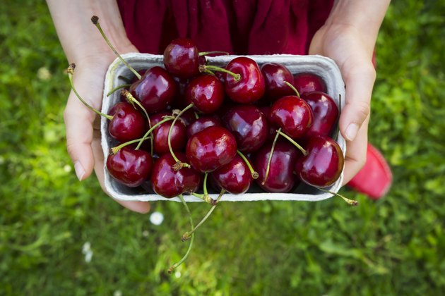 What Is The Difference Between Sweet Cherries And Sour Cherries Hunker