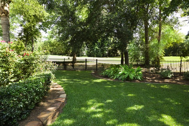 Nature: Backyard overlooking golf course. Flowerbeds and shrubs.