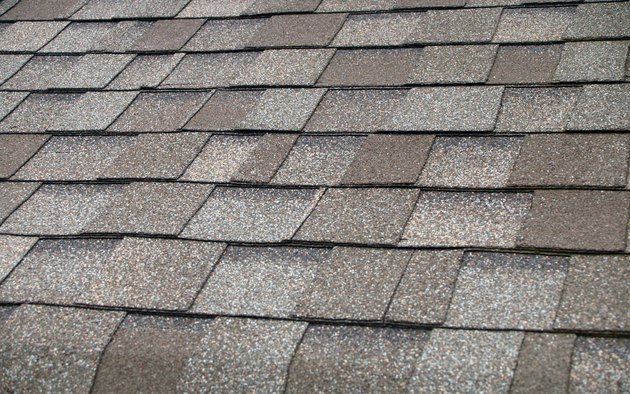 Composition Shingle Roof