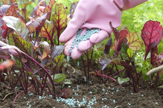 fertilizers