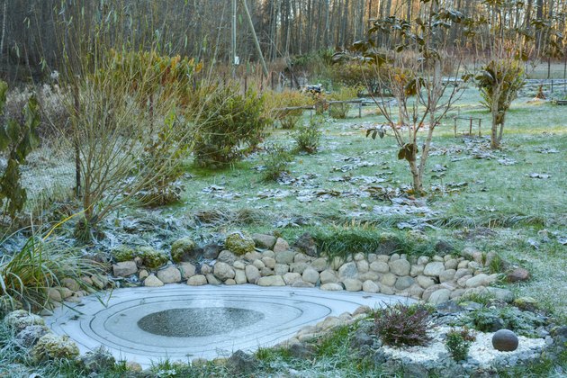 First frost in the garden.