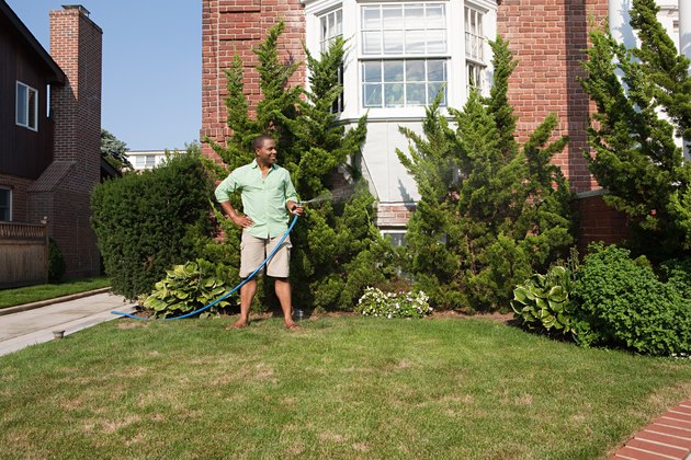 Man watering grass with hosepipe