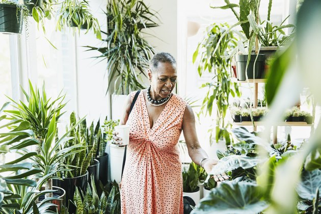 Senior woman touching plant leaf while shopping in plant store