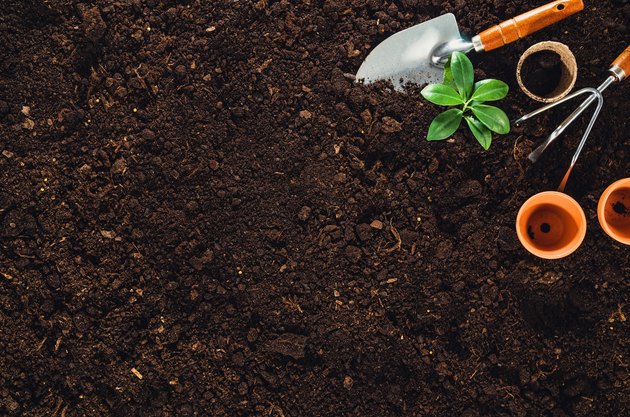 Gardening tools on garden soil texture background top view