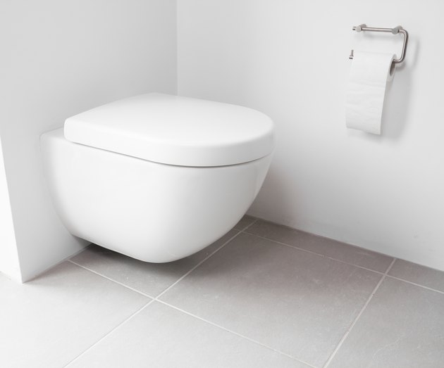 wall hung toilet