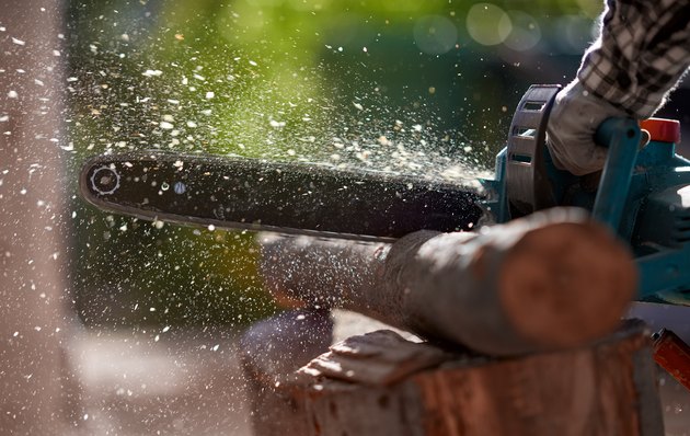 cuttings logs with chainsaw
