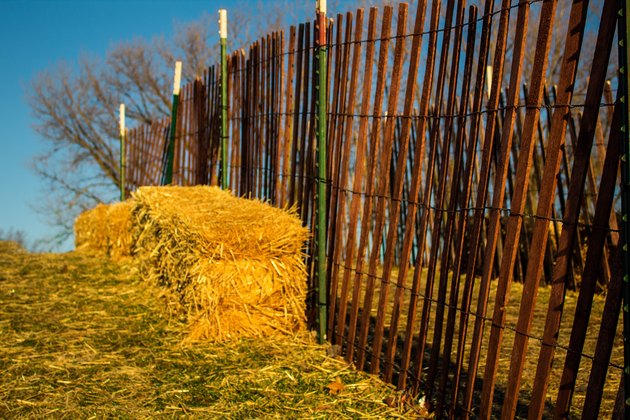 Rural landscape