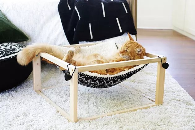 cat in black and white hammock