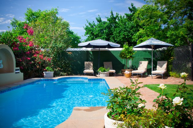 Swimming pool garden