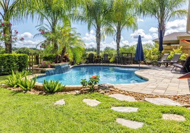 Beautiful Swimming Pool and Back Yard