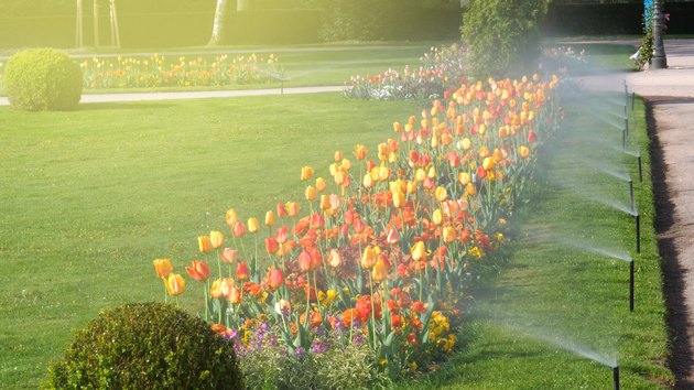 Smart garden luxury park with automatic sprinkler irrigation system