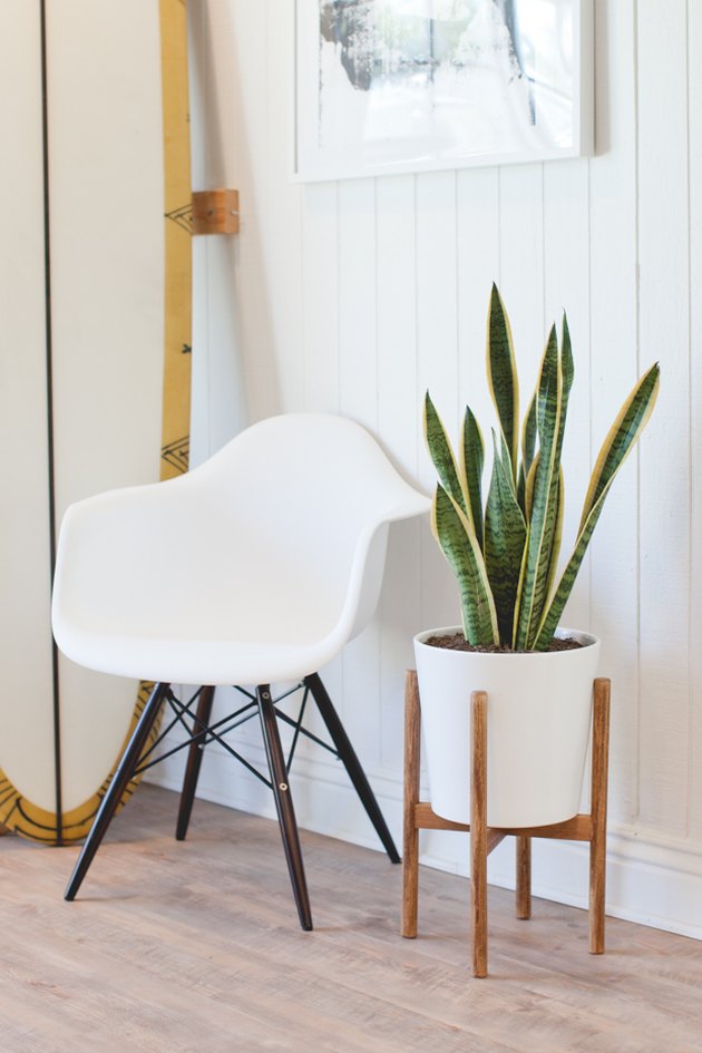 Completed mid-century plant stand