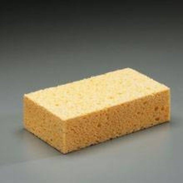 How Do Sponges Absorb Water? | Hunker