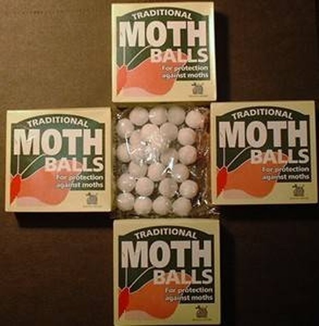 how-to-get-rid-of-mice-using-mothballs-hunker