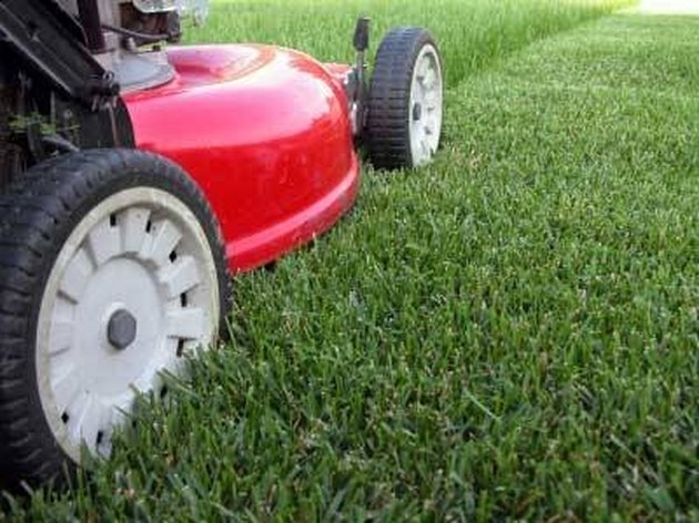 how-to-start-a-gas-lawn-mower-hunker