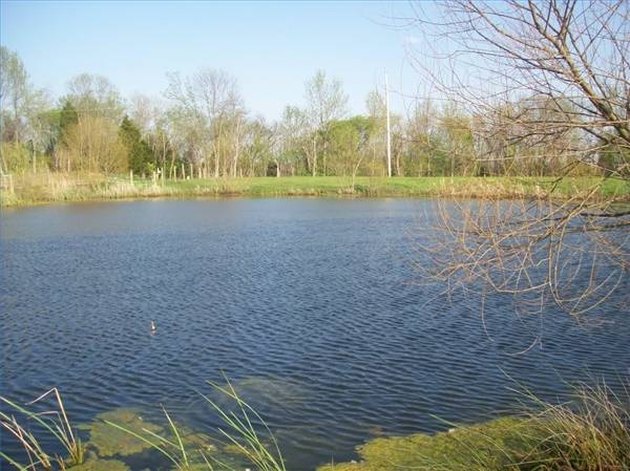 How to Keep a Farm Pond From Drying Up | Hunker