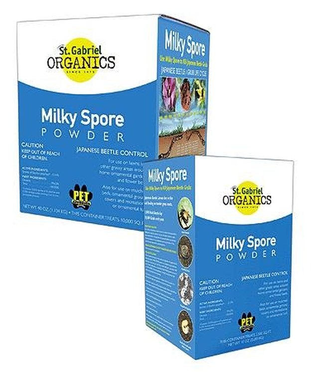 milky spore powder alternates