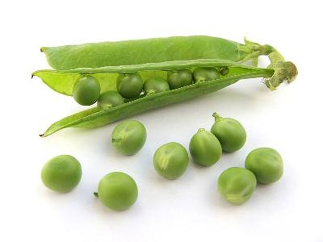 The Effect of Temperature on Pea Respiration | Hunker
