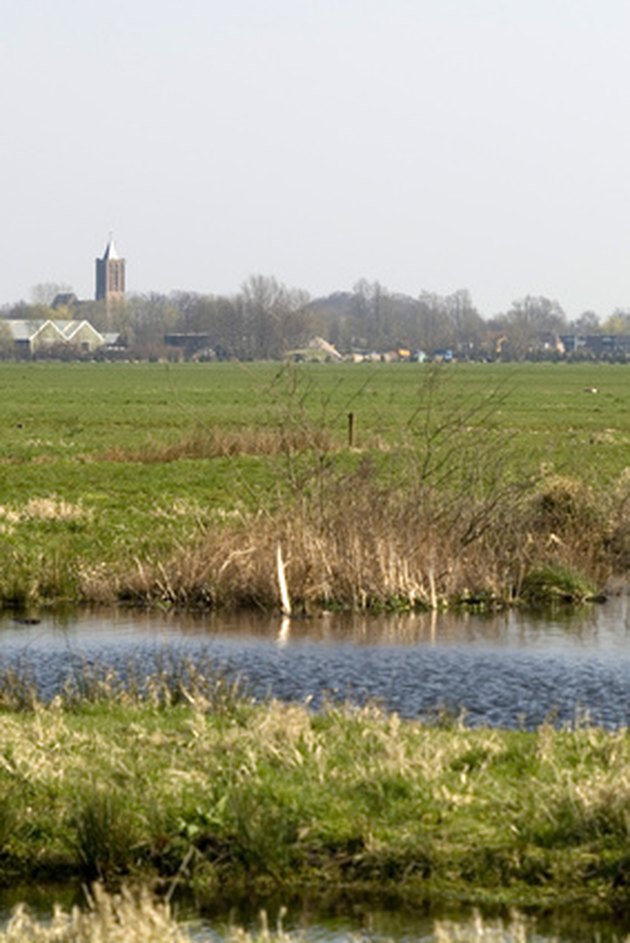 how-does-fertilizer-affect-aquatic-ecosystems-hunker