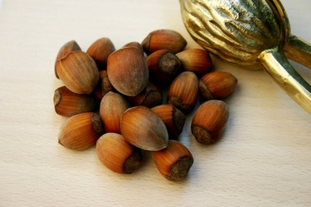 how-to-identify-hazelnuts-hunker