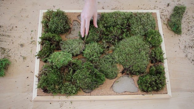 placing clumps of moss in spaces cut out of cork tile inside a bulletin board frame