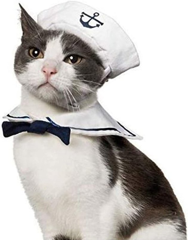 
Go for a nautical theme with this little set — perfect for small cats or dogs.
