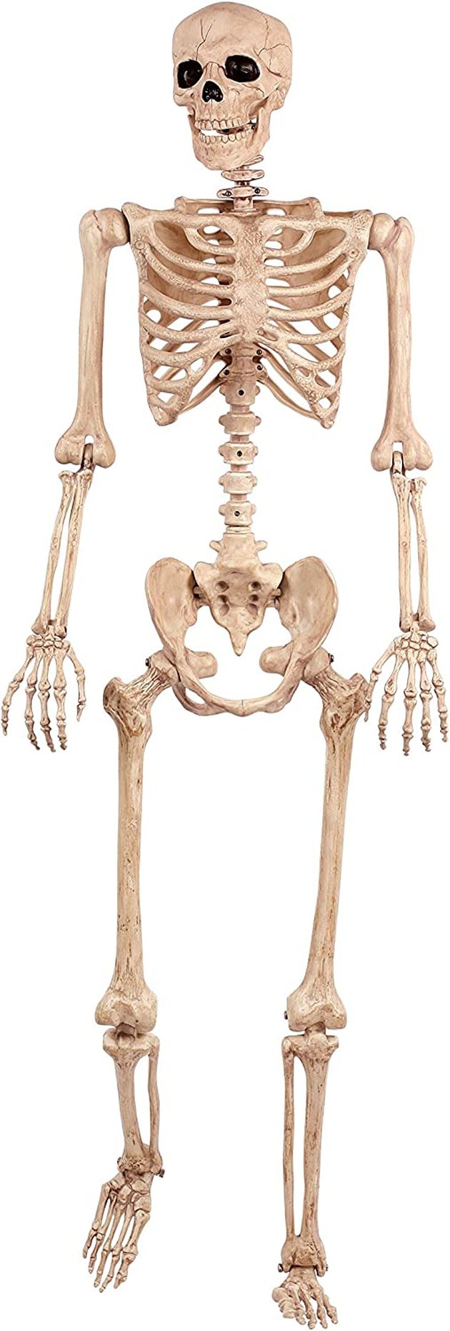 At 5 feet tall, there are so many fun ways to set up this fake skeleton, whether you want to decorate your yard or inside your house.