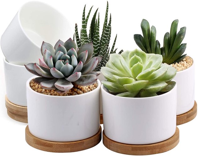Perfect for succulents and other small plants, these 3.15-inch planters come with ceramic planters with drainage holes and stylish bamboo saucers.