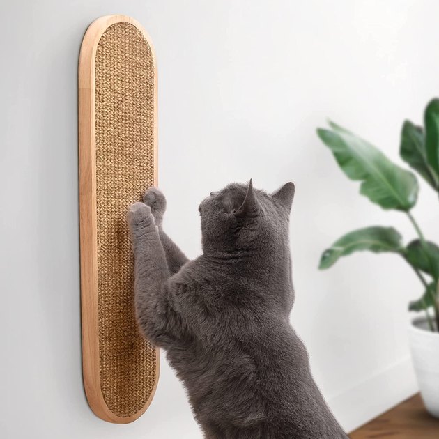 If you don’t have room for a cat tower or large scratcher, opt for a wall mounted design instead. This scratching post has a durable wood frame and is made with natural woven sisal as the perfect scratching surface.