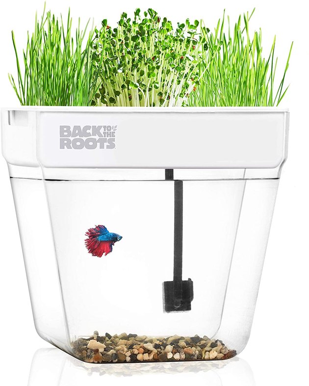 Enlist the help of your aquatic friends to start building your indoor garden. This water garden from Back to the Roots allows you to grow microgreens like radish and wheatgrass that you can harvest in just 10 days. The best part about this garden is that it truly is a self-cleaning ecosystem, since the fish get to fertilize the plants and the plants clean the water. The kit also comes with seeds, water conditioner, a growing medium for your seeds, water dechlorinator, and fish food.