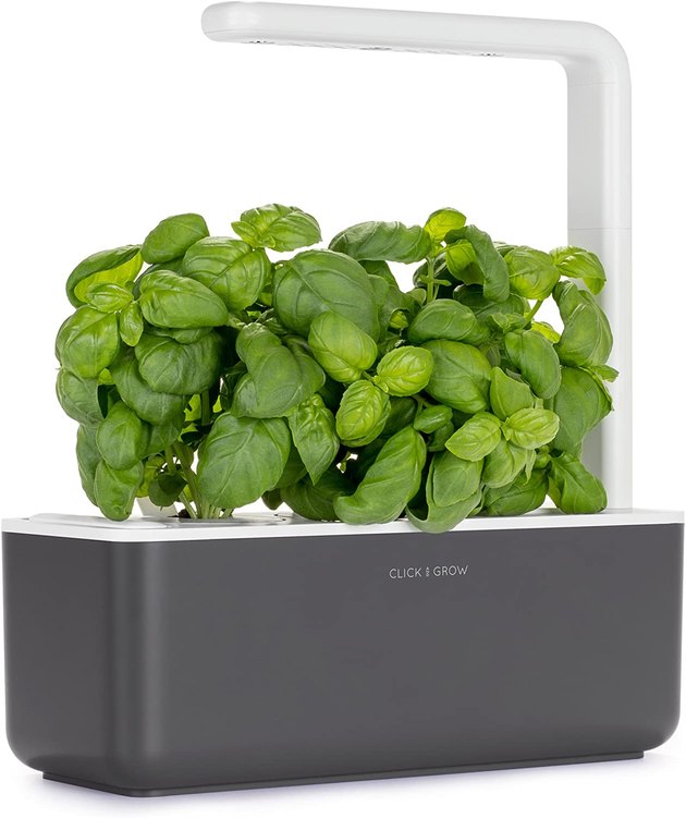 If you're new to plant parenthood and need an easy place to start, try the Click and Grow Smart Garden 3. With this kit, all you need to do is plop in the plant pods, add water, and plug in the self-watering planter to kick off your indoor garden. With the planter and LED grow lights, you'll have plants sprouting in no time. This kit comes with basil, but there are over 50 pre-seeded plant pods to choose from.