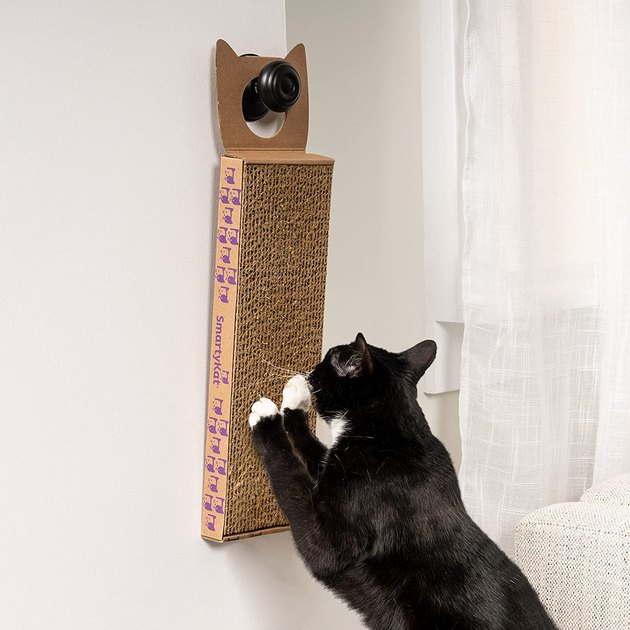 A budget-friendly pick that can be hung on the wall or laid out on the floor, this scratcher will keep your cat and your wallet happy.