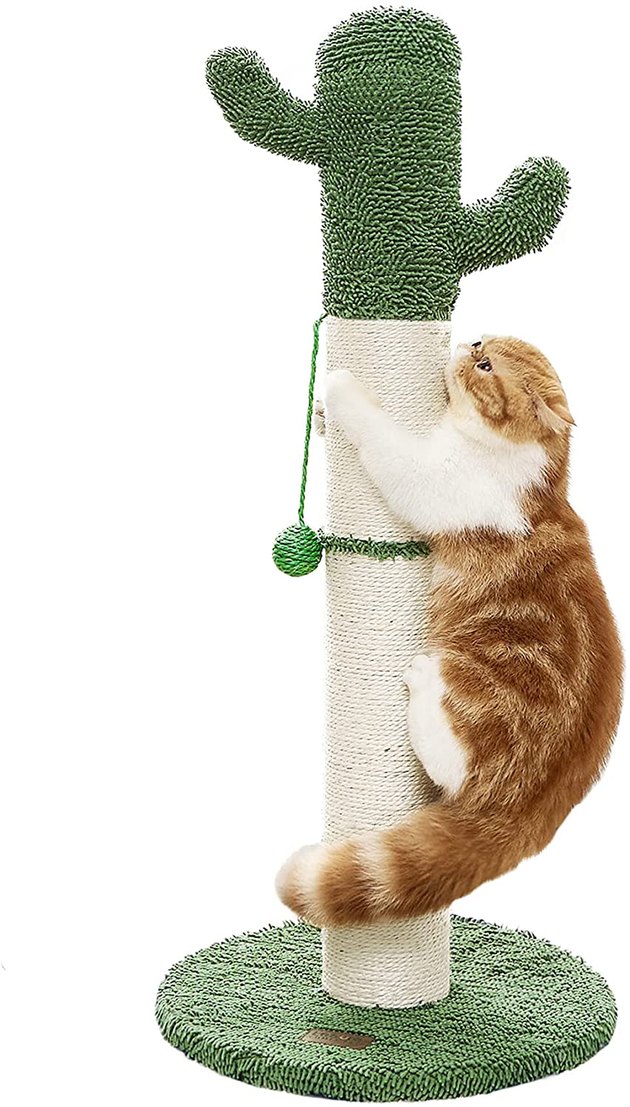 Add a playful touch to your home with this cactus cat scratcher. Ideal for indoor cats, it’s wrapped in durable sisal rope for cats to claw on all day long.