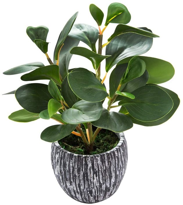 Suitable for both indoor or outdoor use. The leaves are made of plastic, and the planter is made of cement.