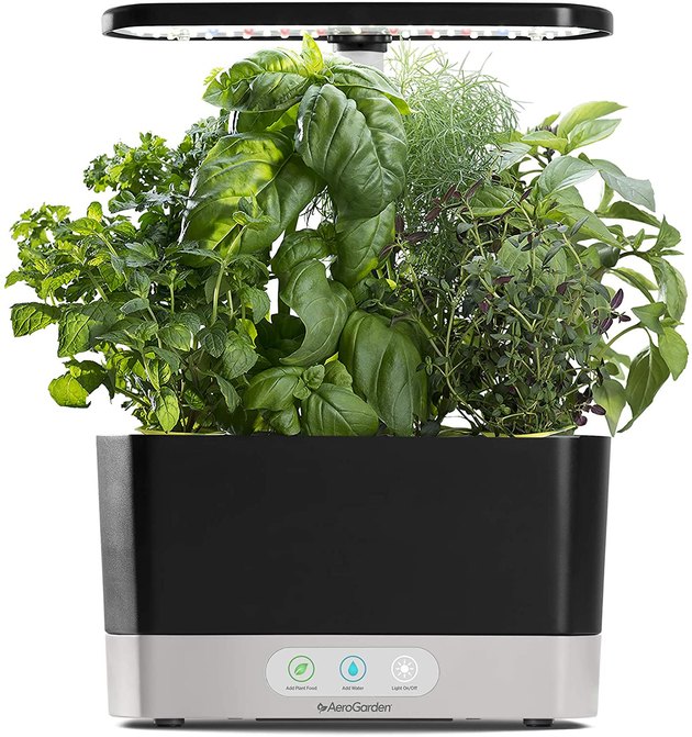 The AeroGarden Harvest Indoor Hydroponic Garden is a high-tech option that allows you to grow six herbs at a time. It comes with an herb seed kit — which includes Genovese basil, curly parsley, dill, thyme, Thai basil, and mint — along with a bottle of plant nutrients to keep your plants healthy and growing. With its hydroponics system, the garden suspends plants in water, so there's no need to fuss over spilled soil. It also has a full-spectrum LED light system that has an automatic on/off feature, therefore you don't need to place it by a window to flex your green thumb.