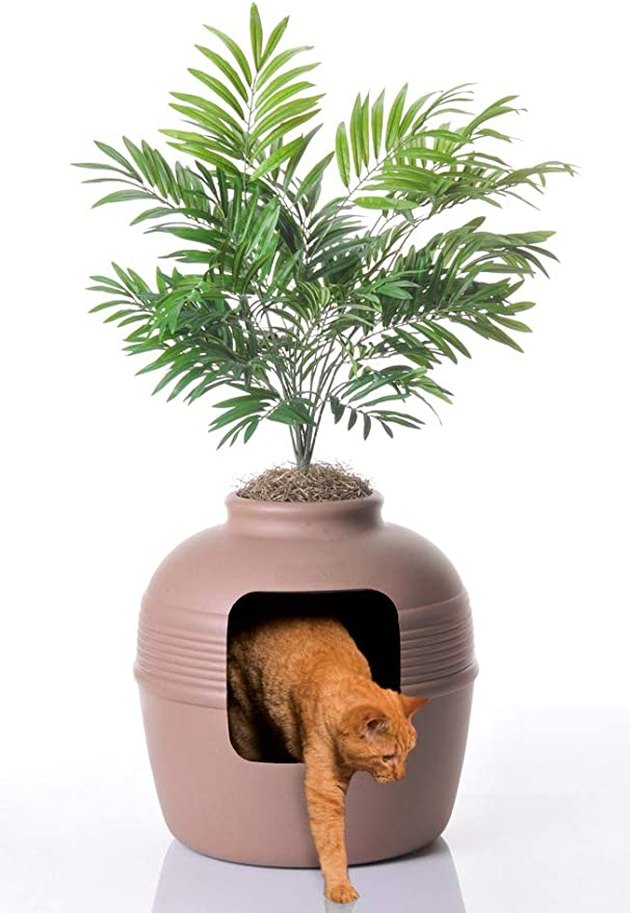 Place this litter box disguised as a terracotta planter anywhere in your home — your guests might never catch on.