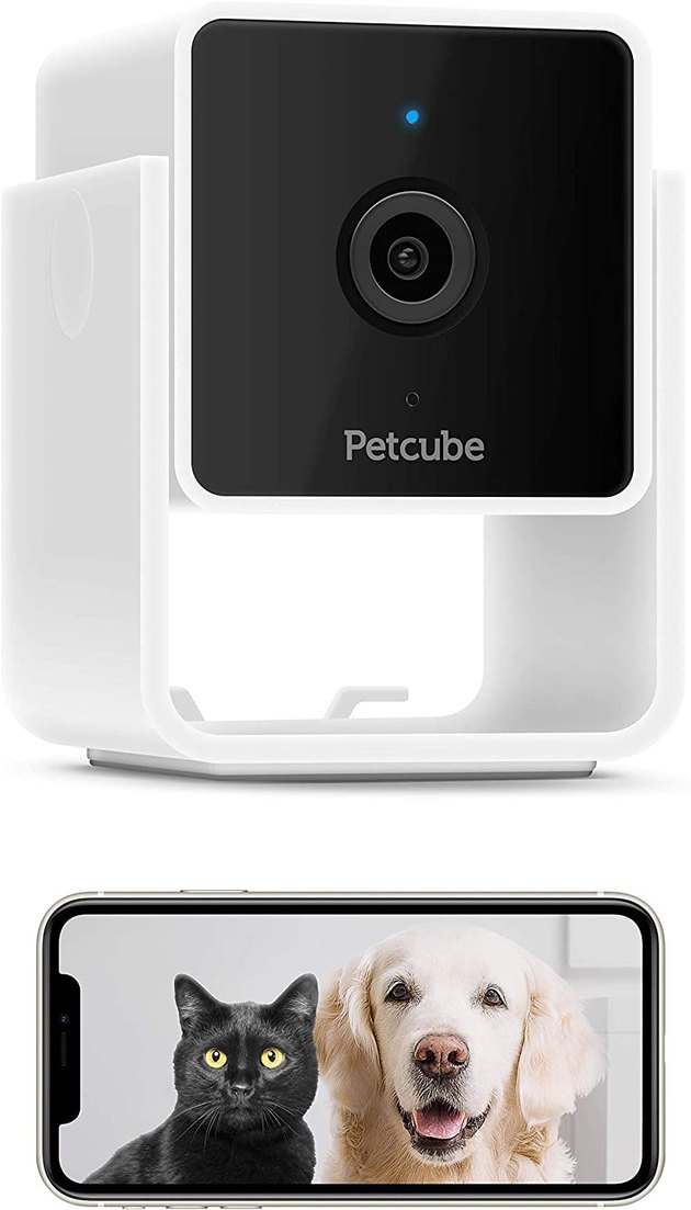 The Petcube Cam has all the basics of a solid pet camera and more. With 1080p HD video and night vision, you’ll always be able to check in on your pet no matter what time of the day. In addition to sound and motion alerts, this pet cam has a unique chat feature that lets you talk to veterinary professionals on the app if you see any pet behavior that’s out of the ordinary. Plus, it only takes one minute to set up.