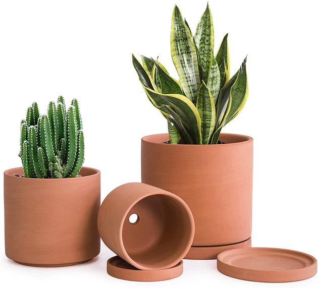 Love the look of a terracotta planter? This set includes three with a more modern design. Plus, each planter has a drainage hole and saucer.