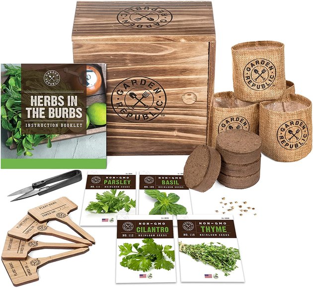 Really test out your gardening skills with a DIY kit like Garden Republic Indoor Herb Garden. It comes with the gardening basics, including non-GMO herb seeds, gardening shears, burlap grow bags, potting soil disks, plant markers, and a wood box planter to place by your window, since this option doesn't come with built-in grow lights. The best part about this DIY indoor garden is that it gives you access to a community of gardeners who can help you on your journey to becoming a gardener yourself.